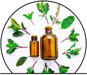 Les meilleures huiles essentielles contre la transpiration